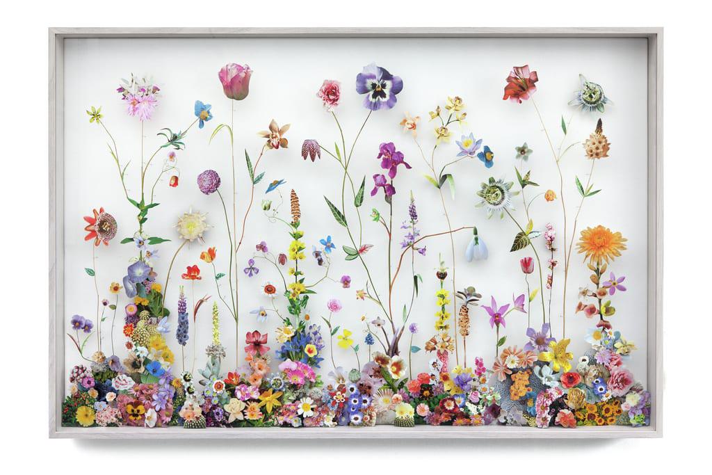 Floral Collages by Anne ten Donkelaar